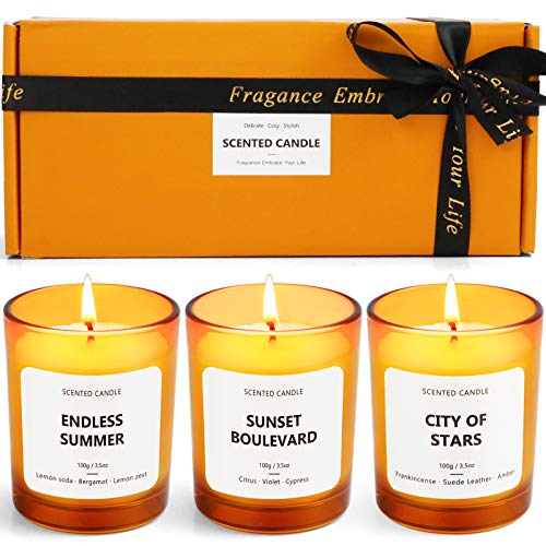 Scented Candles Set, Aromatherapy Candles for Home,Soy Wax Candles, Bathtub Candles Set, Candles Set City of Stars, Endless Summer, Sunset Boulevard Soy Wax Candle, Mothers Day Gifts