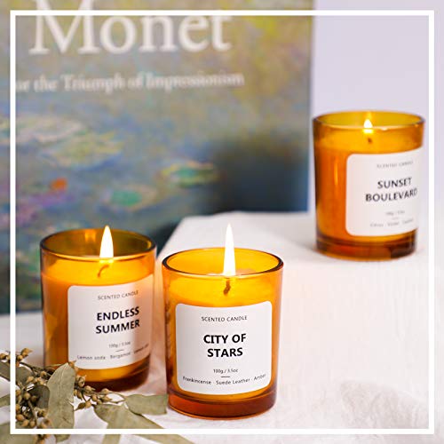 Scented Candles Set, Aromatherapy Candles for Home,Soy Wax Candles, Bathtub Candles Set, Candles Set City of Stars, Endless Summer, Sunset Boulevard Soy Wax Candle, Mothers Day Gifts