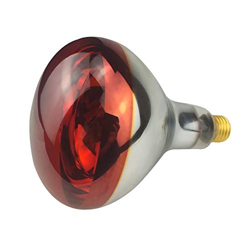 BONGBADA Heat Lamp Bulb R40 100 Watt 2 Pack Painted Red Infrared Glass Lamp Bulb for Food Service, Brooder Bulb, Chicks, Pet, Bathroom (Red Painted-1.0 Version, R40/125W)