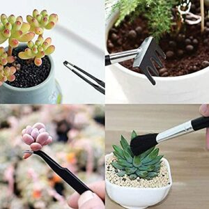 CFH-ALLEZ 17 Pieces Succulent Plants Tools,Gardening Succulent Transplanting Hand Tool +Succulent Garden Pad Miniature Planting Collapsible Waterproof Planter Gardening Mat+Garden Bucket Bag (Green)1