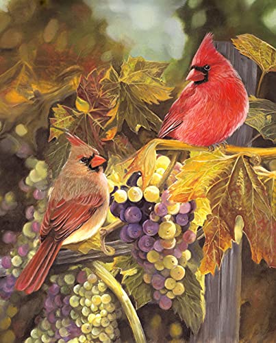 Harvest Time Cardinals with Grapes Cotton Fabric Panel David Textiles