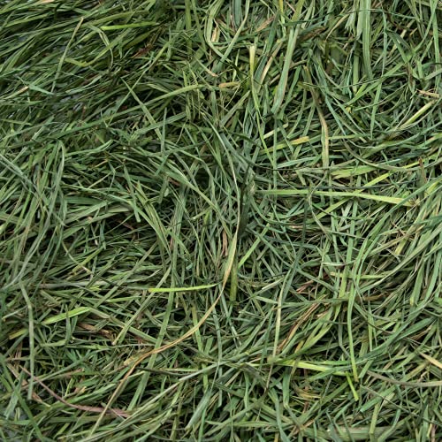 Rabbit Hole Hay Ultra Premium, Hand Packed Soft Orchard Grass for Your Small Pet Rabbit, Chinchilla, or Guinea Pig (12oz)