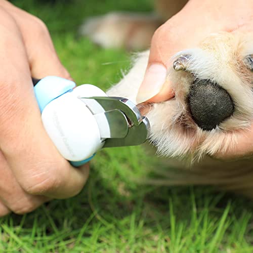 Amazon Basics Pet Nail Clipper and File Professional Grooming Tool with Non-Slip Handle and Safety Guard