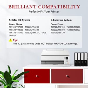 PGI-280XXL/CLI-281XXL Compatible Ink Cartridges for Canon Ink 280 and 281 Cartridge for Canon Pixma TR8620 TR7520 TR8520 TS6120 TS6220 TS6320 TS8120 TS9120 (12 Pack)