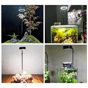 LED Aquarium Light 360 Degree Full Spectrum LED Light with Bamboo Board 10W Nano Fish Tank Light USB Powered Flat Nano Aquarium Light Bett a Fish Tank Light for Plant Growth