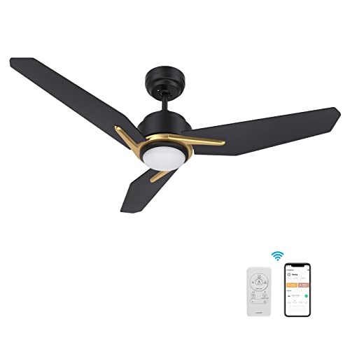 SMAAIR Smart Ceiling Fan with light, 3 Blades Black Outdoor Ceiling Fan with DC Motor,10-Speed,1-8 Hours Timer Schedule, Compatible with Remote Control/Alexa/Google Home/Siri (48", Black/Gold)