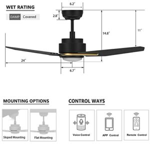 SMAAIR Smart Ceiling Fan with light, 3 Blades Black Outdoor Ceiling Fan with DC Motor,10-Speed,1-8 Hours Timer Schedule, Compatible with Remote Control/Alexa/Google Home/Siri (48", Black/Gold)