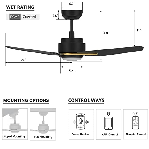 SMAAIR Smart Ceiling Fan with light, 3 Blades Black Outdoor Ceiling Fan with DC Motor,10-Speed,1-8 Hours Timer Schedule, Compatible with Remote Control/Alexa/Google Home/Siri (48", Black/Gold)