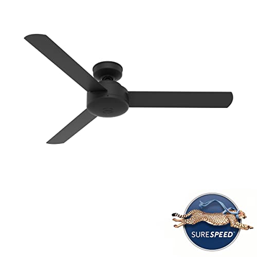 Hunter Fan Company 50810 Presto Ceiling Fan, 52, Matte Black