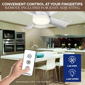 Socket Fan Ceiling Fan with Light, 1000 Lumens Ceiling Fan with Light & Remote, Screws into Any Light Socket No Wiring Needed, 3 Fan Speeds 3 Light Settings, College Dorm Room Essentials As Seen on TV