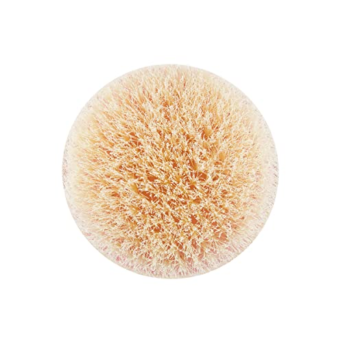 EcoTools Dry Body Brush, For Post Shower & Bath Skincare Routine, Removes Dirt & Promotes Blood Circulation, Helps Reduce Appearance of Cellulite, Eco-Friendly, Vegan & Cruelty-Free, 1 Count