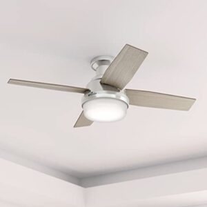 Hunter Fan Company 50282 Hunter Dempsey Indoor Low Profile Ceiling Fan with LED Light and Remote Control, 44", Brushed Nickel Finish
