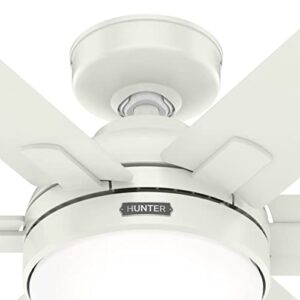 Hunter Fan 44 Inch Casual Fresh White Finish Indoor Ceiling Fan With Light Kit and Remote Control (Renewed)