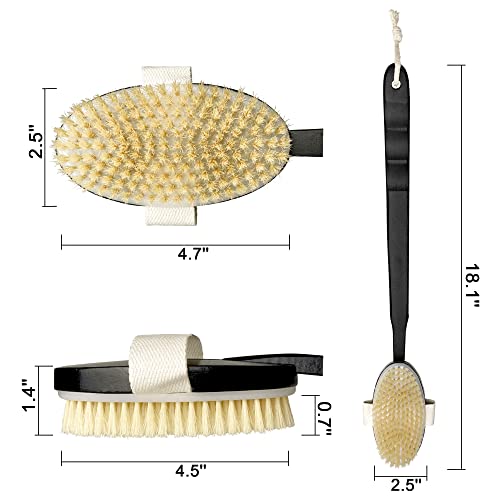 OWIIZI Black Bath Brush Wooden Curved Long Handle Body Brush for Exfoliating, Natural Bristle Shower Scrubber for Back Use Wet or Dry