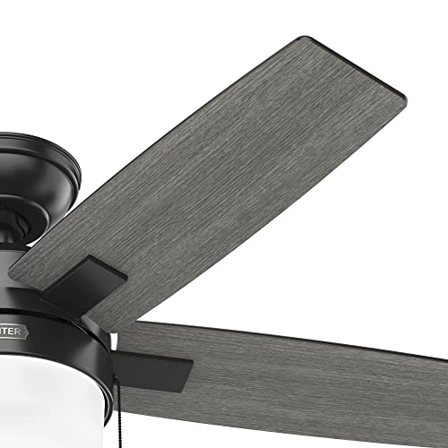 Hunter Fan Company 52486 Anisten Ceiling Fan, Matte Black