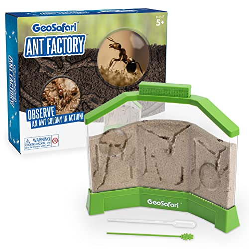 Educational Insights GeoSafari Ant Factory with Sand, Watch Live Ants, STEM Learning Toy, Ages 5+