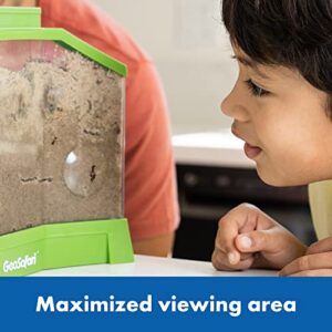 Educational Insights GeoSafari Ant Factory with Sand, Watch Live Ants, STEM Learning Toy, Ages 5+