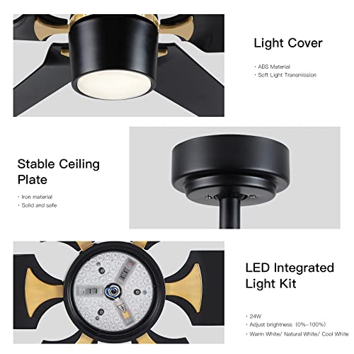60 inch Large Ceiling Fan with Light and Remote, Modern Black Ceiling Fans with Gold Alloy, Dimmable 3-Color Temperature Reversible Blades 6 Speed Quiet DC Motor for Bedroom Living Room Hall etc