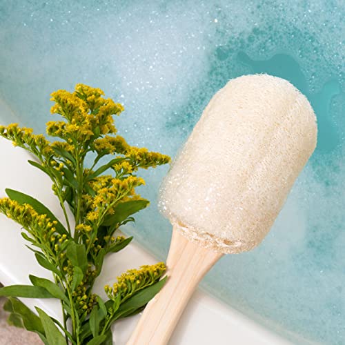 EcoTools Loofah Bath Brush, Shower Brush with Ergonomic Handle, Cleans Hard to Reach Areas, Eco-Friendly Bath Sponge, Gentle Cleansing & Exfoliating, Vegan & Cruelty-Free, 2 Count