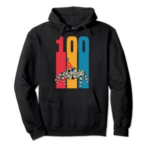 100th Birthday Party Supply Retro Vintage Pet Jumping Spider Pullover Hoodie