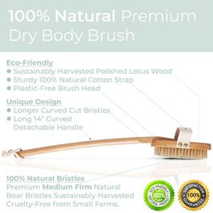 Zen Me Premium Boar Bristle Brush, Exfoliating Brush with Medium Firm Natural Bristles for Cellulite and Lymphatic, Body Scrub Brush with Detox eBook Gift