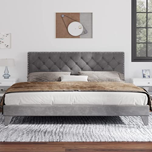 Catrimown King Size Bed Frame with Adjustable Headboard, Modern Velvet Upholstered Platform Bed Frame, Wooden Slat Support, Mattress Foundation, No Box Spring Needed, Easy Assembly, (Grey, King)