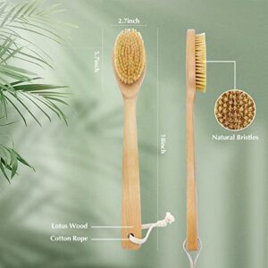 CARELAX Back Scrubber Brush,Long Handle Bath Brush for Shower, Soft but Stiff Shower Bristles and Pumice Stone Brush, Body Exfoliating Brush for Wet or Dry Brushing