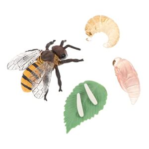 yardenfun 1 set stag beetle growth week little critters toys educational toys for kids spider toy honey life cycle models growth statue bee growth cycle plastic honey bee life cycle models