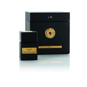 tiziana terenzi tiziana terenzi gumin edp for men 100 ml, 3.4 fl. oz.