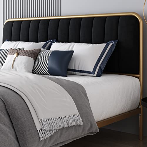 HITHOS King Size Bed Frame, Upholstered Bed Frame with Button Tufted Headboard, Heavy Duty Metal Mattress Foundation with Wooden Slats, Easy Assembly, No Box Spring Needed (Golden/Black, King)