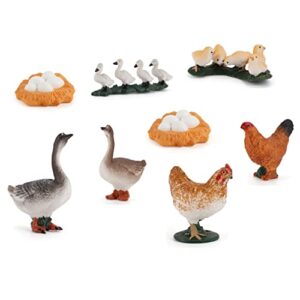 blapnk 8 pcs chicken and goose animal life cycle growth model figure classroom school projects party supplies cake topper amphibian toys figurine science educational prop