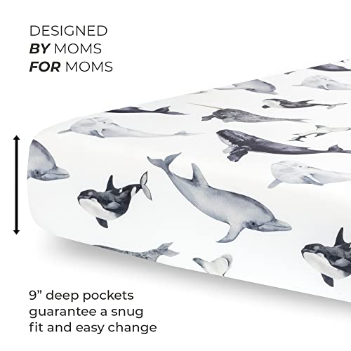 Pobibaby - 2 Pack Premium Fitted Baby Boy Crib Sheets for Standard Crib Mattress - Ultra-Soft Jersey Knit, Safe and Snug, and Stylish Ocean Crib Sheet (Seaside)