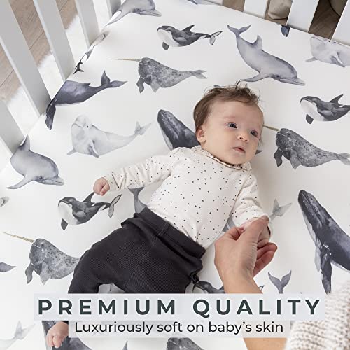 Pobibaby - 2 Pack Premium Fitted Baby Boy Crib Sheets for Standard Crib Mattress - Ultra-Soft Jersey Knit, Safe and Snug, and Stylish Ocean Crib Sheet (Seaside)