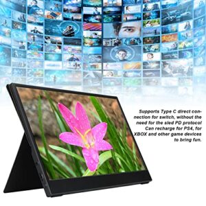 Acouto 13.3 Inch Monitor Aluminum Alloy Plastic Portable 1440P HD IPS Screen Monitor Type C External Screen for for Phone Laptop