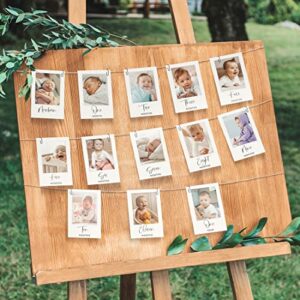 Beautiful 1st Birthday Photo Banner From Newborn to 12 Months - The Perfect Party Decoration for Your Baby Girls or Boys First Birthday - 13 Reversible Milestone Cards From Newborn to 13 Years