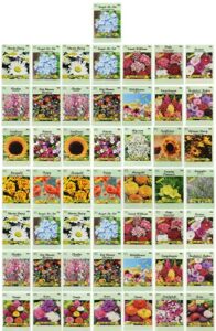 set of 50 flower seed packets! flower seeds in bulk, 15 or more varieties available!
