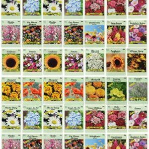 Set of 50 Flower Seed Packets! Flower Seeds in Bulk, 15 or More Varieties Available!