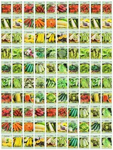 100 assorted heirloom vegetable seeds 100% non-gmo (100, deluxe assorted vegetable seeds)