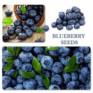 1100pcs Mixed Fruit Seeds Berry Seeds for Planting 200pcs Strawberry 200pcs Raspberry 200pcs Mulberry 200pcs Blueberry 200pcs Elderberry 10pcs Cherry - Individually Packaged