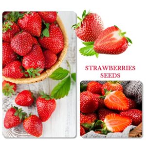 1100pcs Mixed Fruit Seeds Berry Seeds for Planting 200pcs Strawberry 200pcs Raspberry 200pcs Mulberry 200pcs Blueberry 200pcs Elderberry 10pcs Cherry - Individually Packaged