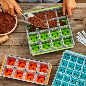 Burpee SuperSeed Seed Starting Tray | 16 XL Cell | Reusable & Dishwasher Safe | for Starting Vegetable Seeds, Flower Seeds & Herb Seeds | Indoor Grow Kit for Deep-Rooted Seedlings