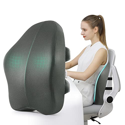 Lumbar Support Pillow for Office Chair Back Support Pillow for Chair Car Seat Back Support Ergonomic Back Chair Pillow Desk Chair Back Cushion for Back Pain Back Rest Pillow Lumbar Back Support (Grey)