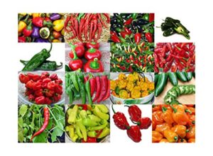 please read! this is a mix!!! 30+ hot pepper mix seeds, 16 varieties heirloom non-gmo habanero, tabasco, jalapeno, yellow and red scotch bonnet, ships from usa! us grown.