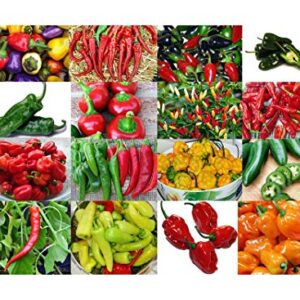 PLEASE READ! THIS IS A MIX!!! 30+ Hot Pepper Mix Seeds, 16 Varieties Heirloom NON-GMO Habanero, Tabasco, Jalapeno, Yellow and Red Scotch Bonnet, Ships from USA! US Grown.