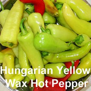 PLEASE READ! THIS IS A MIX!!! 30+ Hot Pepper Mix Seeds, 16 Varieties Heirloom NON-GMO Habanero, Tabasco, Jalapeno, Yellow and Red Scotch Bonnet, Ships from USA! US Grown.