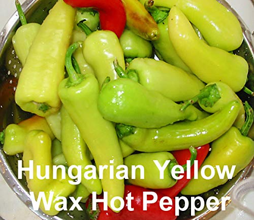 PLEASE READ! THIS IS A MIX!!! 30+ Hot Pepper Mix Seeds, 16 Varieties Heirloom NON-GMO Habanero, Tabasco, Jalapeno, Yellow and Red Scotch Bonnet, Ships from USA! US Grown.