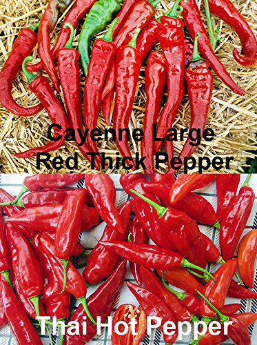 PLEASE READ! THIS IS A MIX!!! 30+ Hot Pepper Mix Seeds, 16 Varieties Heirloom NON-GMO Habanero, Tabasco, Jalapeno, Yellow and Red Scotch Bonnet, Ships from USA! US Grown.