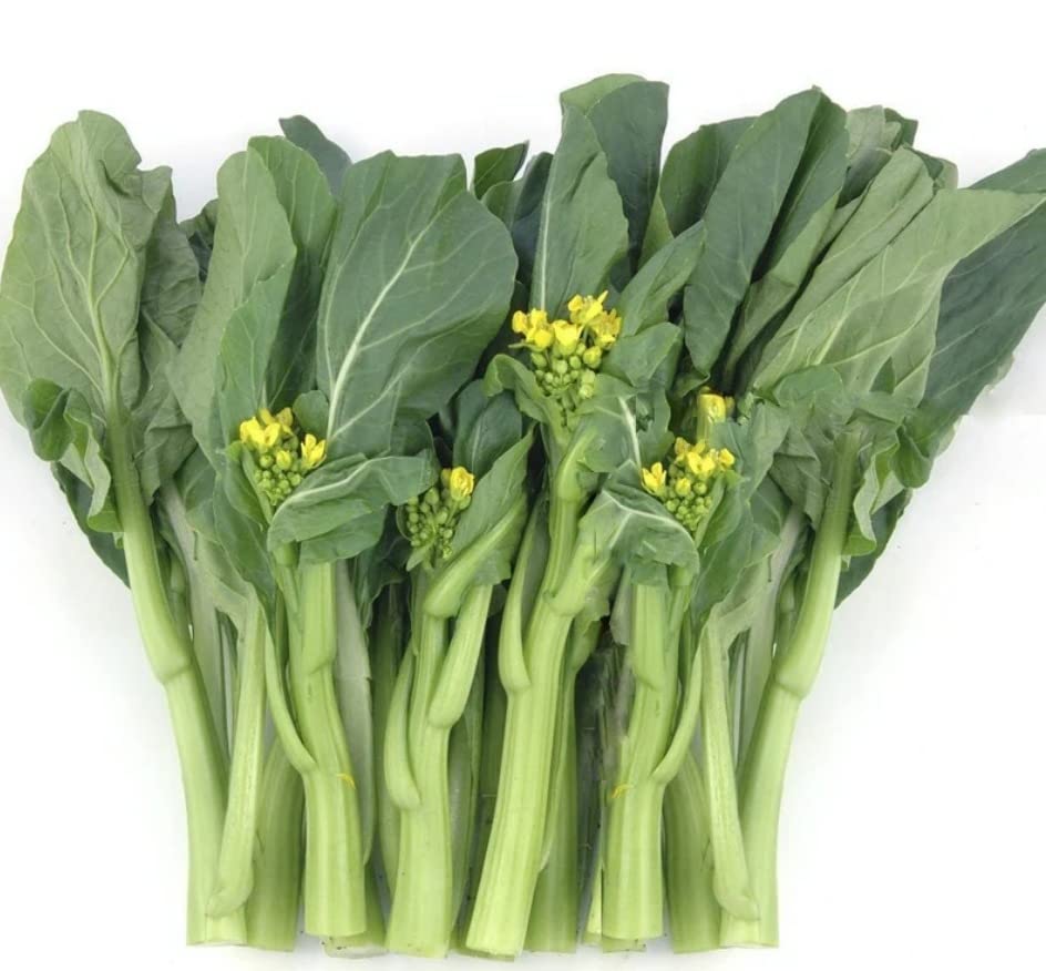 3500 Yu Choy Sum Seeds for Planting - Chinese Flowering Cabbage Seeds | Fast Growing | Heat and Cold Tolerant | Organic Yu Chai/Choi Sum/Chai Sim/Yu Chai Seeds