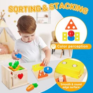 6-in-1 Wooden Play Kit Montessori Toy, Object Permanence Box, Coin Box, Carrot Harvest, Catch Worm, Shape Sorter - Toddler Learning Toy for Kid Age 1, 2, 3 Year Old, Girl boy Gift for Baby 6-12 Month