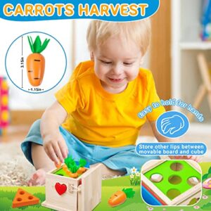 6-in-1 Wooden Play Kit Montessori Toy, Object Permanence Box, Coin Box, Carrot Harvest, Catch Worm, Shape Sorter - Toddler Learning Toy for Kid Age 1, 2, 3 Year Old, Girl boy Gift for Baby 6-12 Month